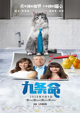 久久91亚洲精品中文字幕