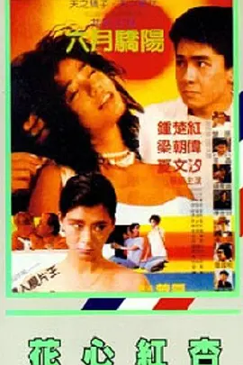 舒淇阁楼无删减版笔趣阁txt