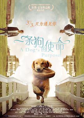 国产在线不卡视频
