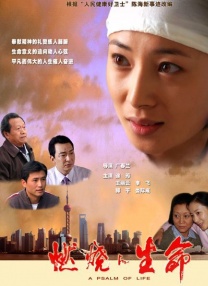刚出道的新人