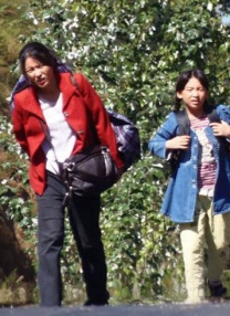 国产一区二区在线看