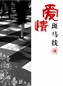 日韩精品久久久久久久电影竹菊