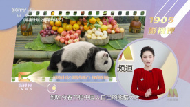 av高清手机在线观看